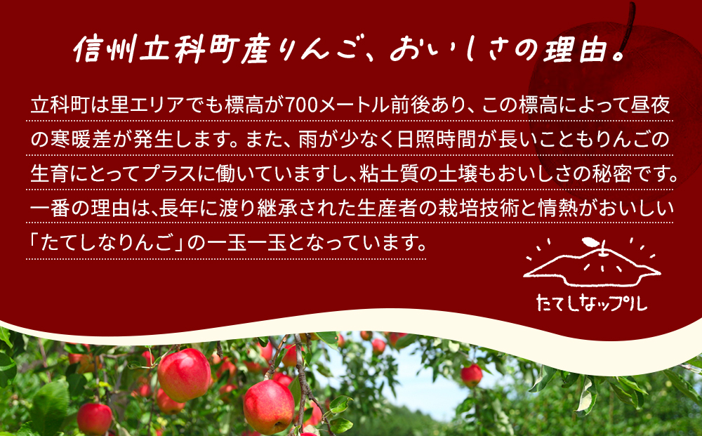 立科町産りんごを使用した　アップルクグロフ