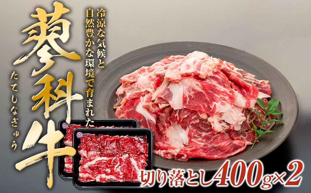 蓼科牛切落し400g×2