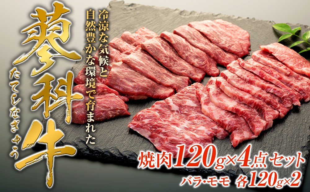 蓼科牛焼肉120g×4パック（バラ・モモ各2パック）