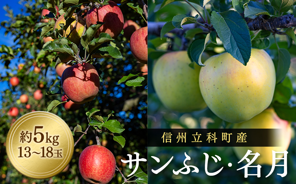 サンふじ・ぐんま名月ミックス（約5㎏、優13～18玉）