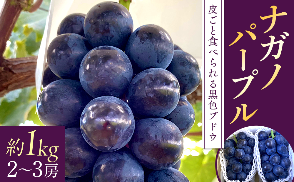 ナガノパープル(約1kg、2～3房)