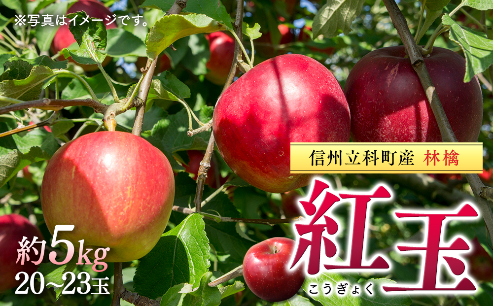 紅玉(約5kg、優20〜23玉)