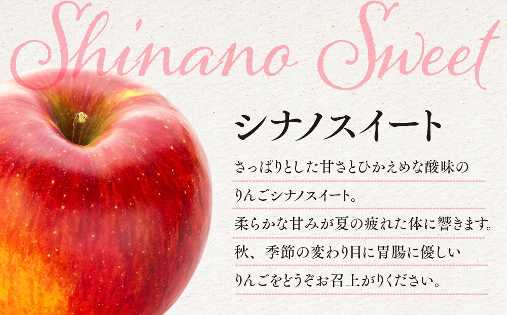 信州りんご シナノスイート 3kg ※クレジット決済限定 りんご リンゴ 林檎 長野 フルーツ 果物 信州産 長野県産 特産 産地直送 おすすめ