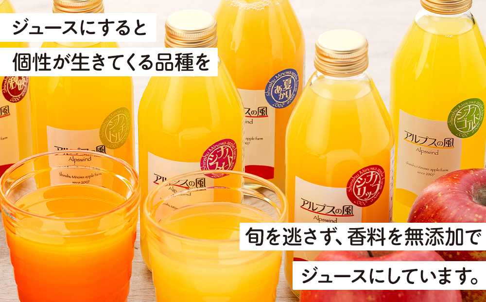 果汁100％ジュースで味わう 信州のりんご 甘系 小瓶 6本 セット 250ml 6本 セット 詰め合わせ りんごジュース 林檎ジュース ミックスジュース 信州りんご 信州りんごジュース りんご100 100％ジュース 果汁飲料 飲料 飲み物 長野 長野県 箕輪町