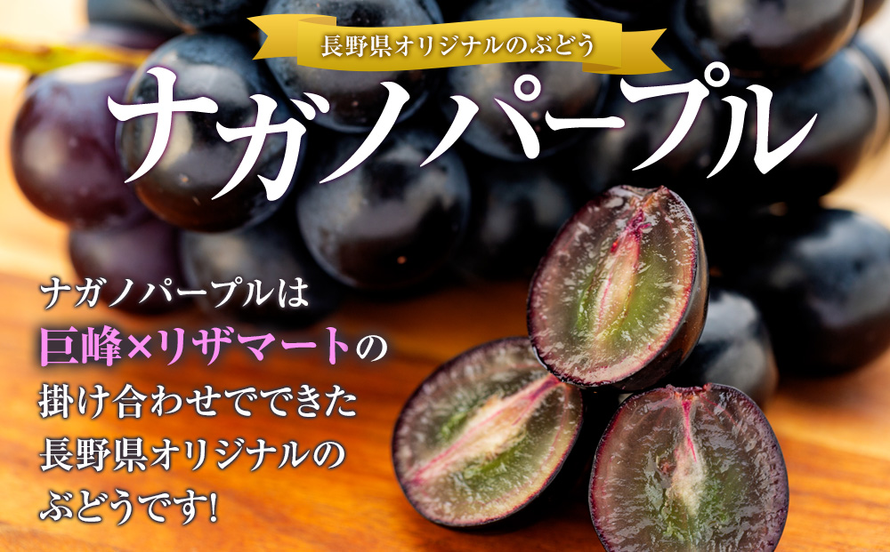 ぶどう ナガノパープル 2kg 葡萄 ブドウ 長野パープル 果物 くだもの フルーツ 旬の果物 旬のフルーツ 信州 長野 長野県