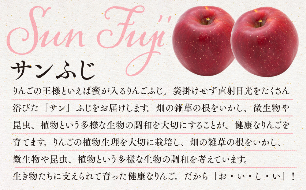 信州りんご サンふじ3kg ※オンライン決済限定 りんご リンゴ 林檎 長野 フルーツ 果物 信州産 長野県産 特産 産地直送 おすすめ