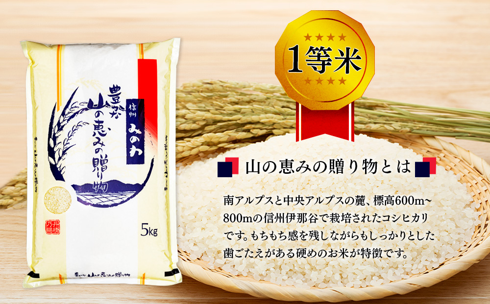 【令和7年産】信州産 コシヒカリ 1等米 「山の恵みの贈り物」 5kg （ お米 コシヒカリ 白米 搗きたて米 低温貯蔵米 食品 ) 長野県　箕輪町