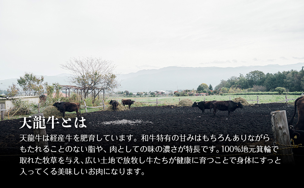 【希少な黒毛和牛】天龍牛ウインナーソーセージ　約175g（5本入り）×4セット ソーセージ 天龍牛 黒毛和牛 長野県産 信州産 お肉 国産 希少 お酒のつまみ