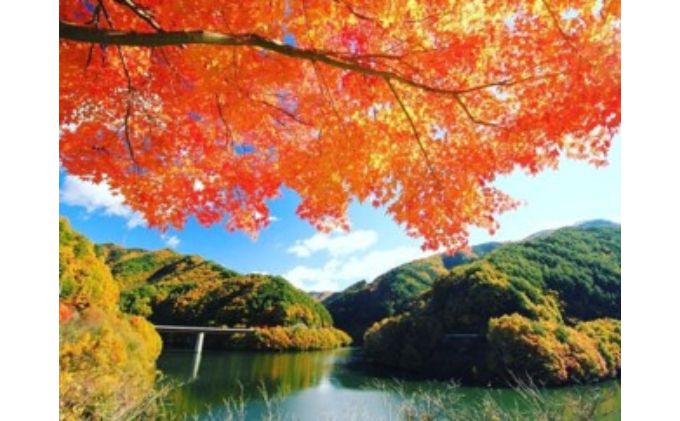 健麗水No.3（ペットボトル1.5L×6本）　飲料類 水 健康