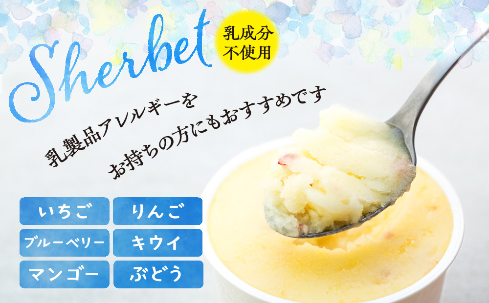 乳成分不使用 シャーベット 6個 セット 詰め合わせ フルーツシャーベット いちご りんご ブルーベリー キウイ マンゴー ぶどう アイス デザート スイーツ お菓子 菓子 おやつ 信州 長野 長野県