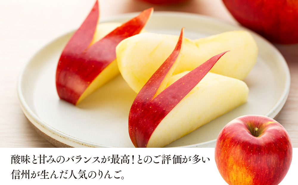 信州りんご シナノスイート 5kg ※クレジット決済限定 りんご リンゴ 林檎 長野 フルーツ 果物 信州産 長野県産 特産 産地直送 おすすめ