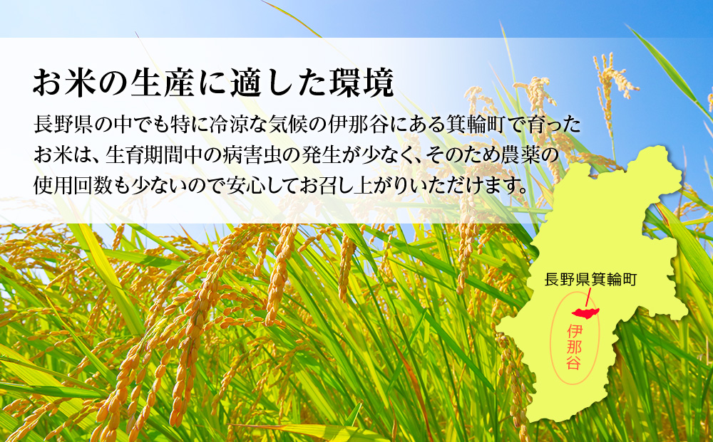 【令和7年産】３ヶ月連続お届け 定期便 信州産 コシヒカリ 1等米 「山の恵みの贈り物」 10kg(10kg×1袋)　計30kg （ お米 コシヒカリ 白米 搗きたて米 低温貯蔵米 食品 ) 長野県　箕輪町