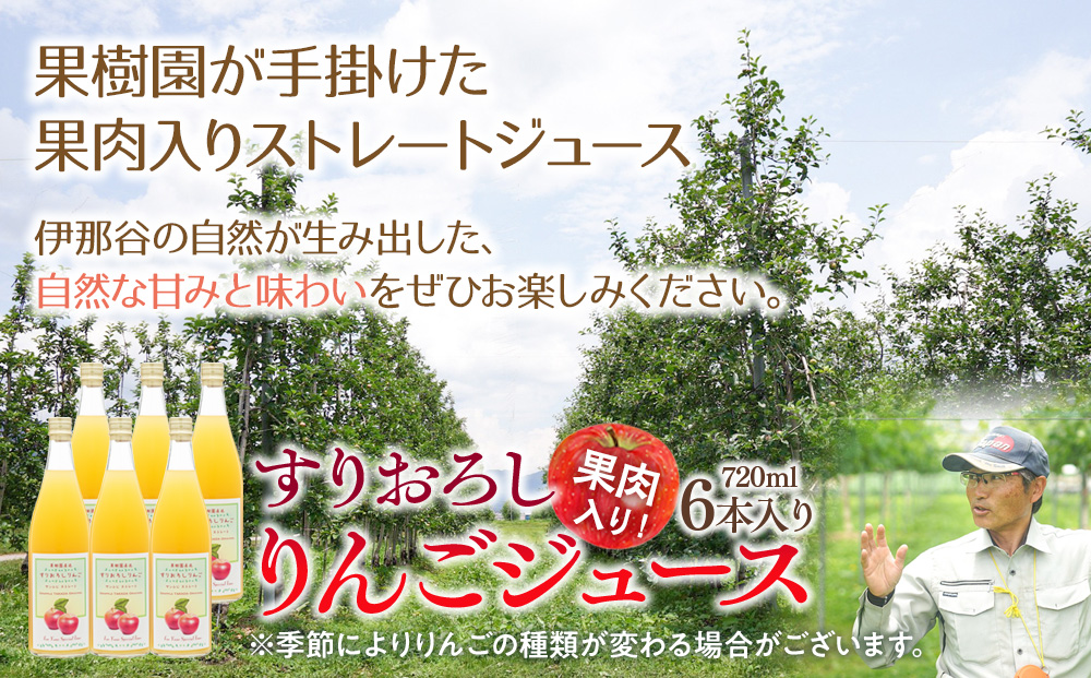 果肉入り！すりおろしりんごジュース 6本入り リンゴジュース りんご リンゴ 林檎 長野 フルーツ 果物 信州産 長野県産 特産 産地直送 おすすめ