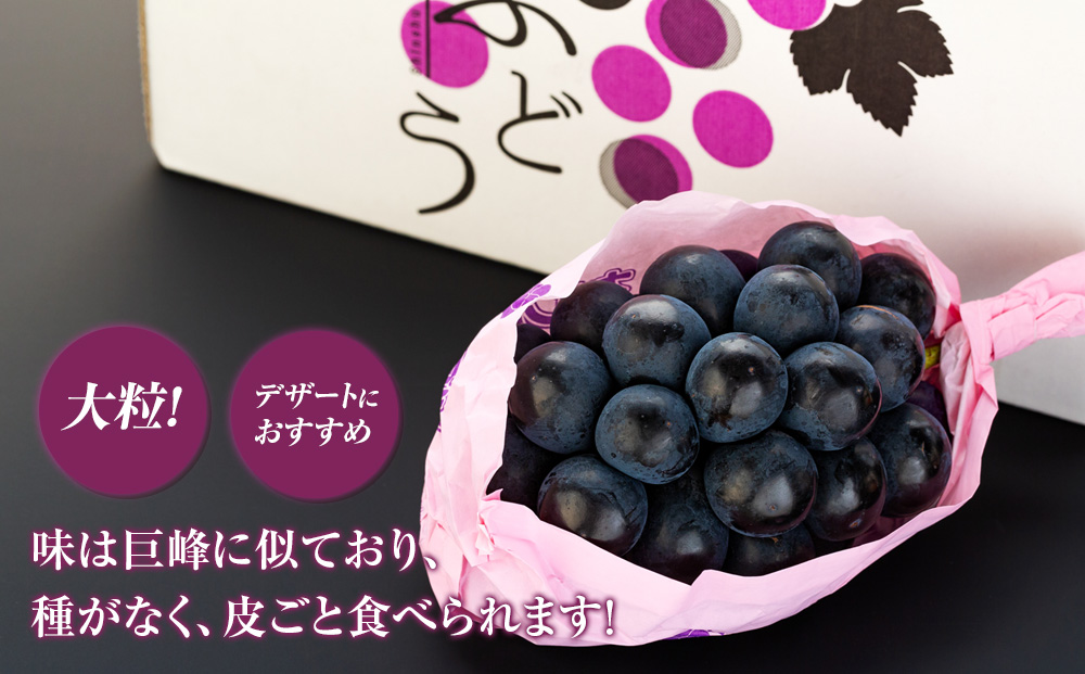 ぶどう ナガノパープル 2kg 葡萄 ブドウ 長野パープル 果物 くだもの フルーツ 旬の果物 旬のフルーツ 信州 長野 長野県