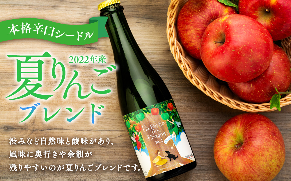 シードル 2021年産冬 2022年産 2本 詰め合わせ セット ハーフボトル 飲み比べ アップルシードル 辛口 りんご 夏リンゴ フルーツ 果物 お酒 酒 果実酒 アルコール 家飲み ギフト プレゼント 贈答 贈り物 お祝い 長野 長野県 箕輪町