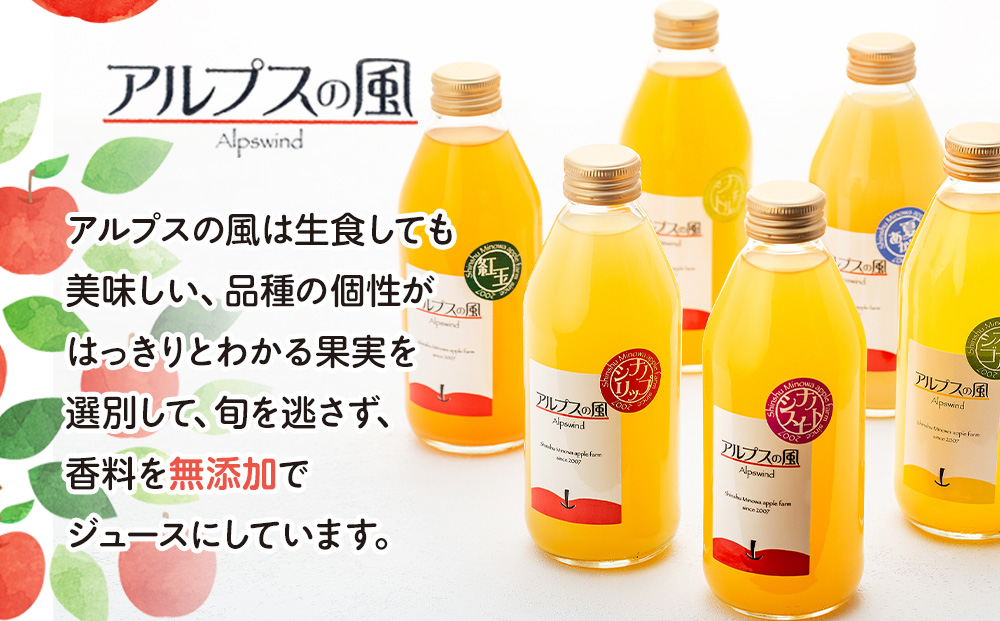 果汁100％ジュースで味わう 信州のリンゴ 爽やか酸味系 大瓶 6本 セット 詰め合わせ りんご 林檎 アップル アップルジュース ミックスジュース 無添加 飲料 飲料類 甘い 濃厚 長野 長野県