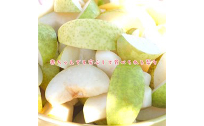 信州産 梨 二十世紀梨 約5kg（14玉前後） 先行予約 フルーツ 果物 長野 長野県産 信州産 デザート おすすめ 特産 産地直送