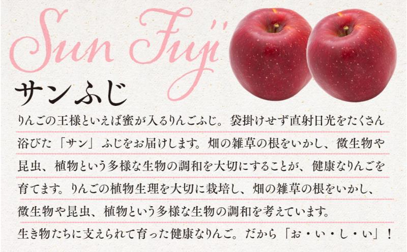 信州りんご サンフジ 約5kg