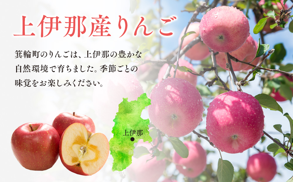 【定期便】贈答用上伊那産りんごの定期便4回おまかせセット