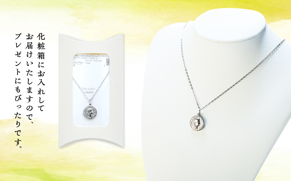 金属アレルギー対応コインネックレス　シルバー