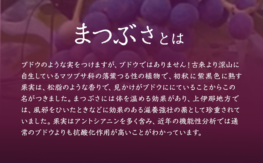 まつぶさの雫 （果実液）720ml 2本セット※2023年1月中旬より順次発送　飲料 長野 フルーツ 果物 信州 特産
