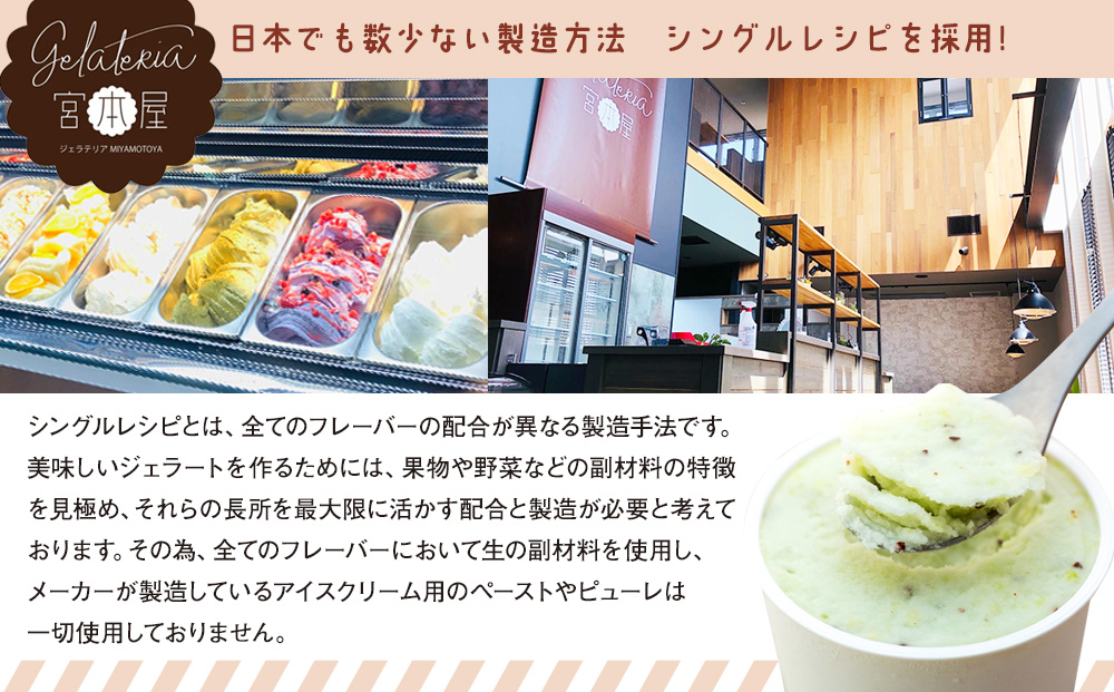 ジェラート 12個 セット 詰め合わせ ジェラテリア宮本屋厳選 アイス シャーベット ジェラテリア宮本屋 砂糖控えめ ヘルシー 信州牛乳 りんご いちご 黒ごま チョコレート ラムレーズン 抹茶 宇治 マンゴーミルク アルフォンソマンゴー