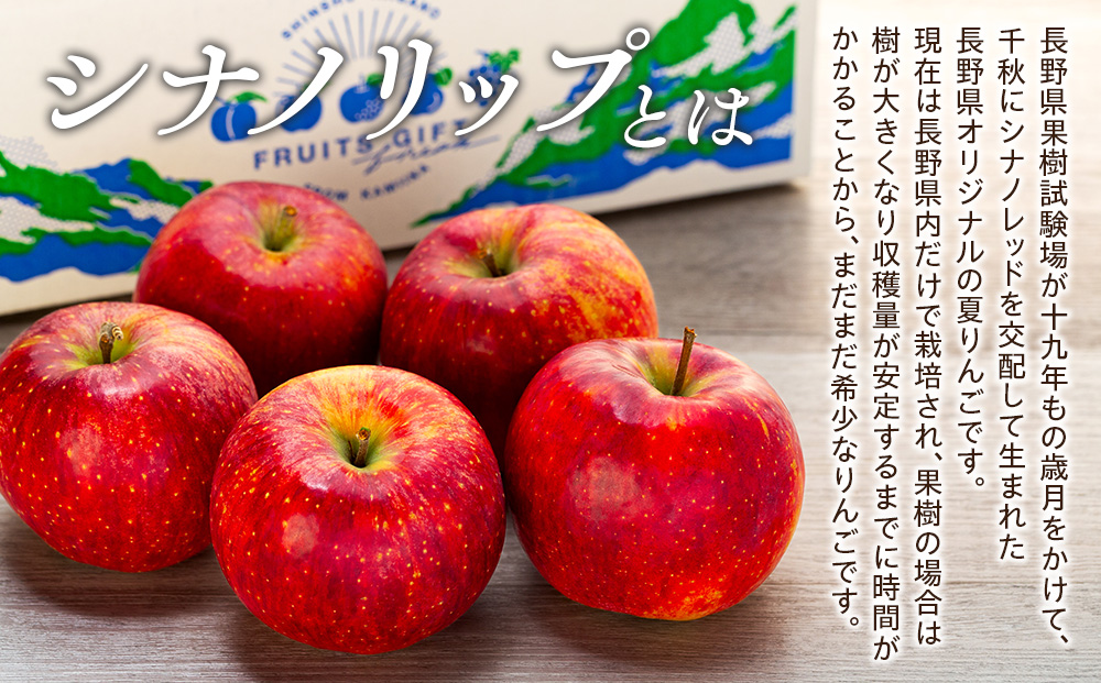 シナノリップ　約3kg（9玉）