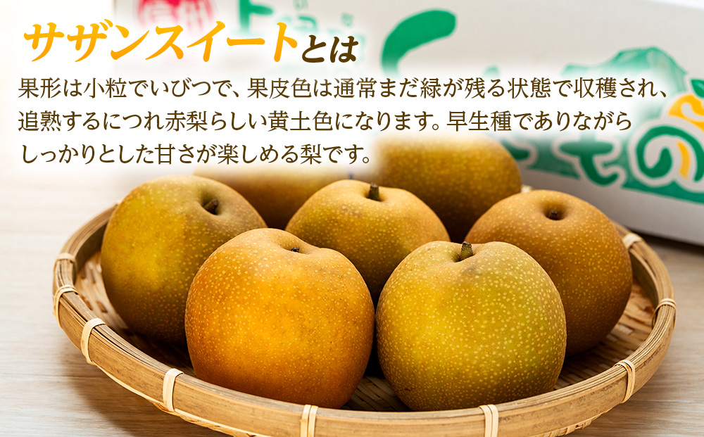 梨 長野 サザンスイート 約 5kg （16～18玉） 贈答用 オリジナル品種 フルーツ 果物 デザート おやつ なし ナシ ギフト 贈答 産地直送 長野県 長野県産 信州産 長野県箕輪町