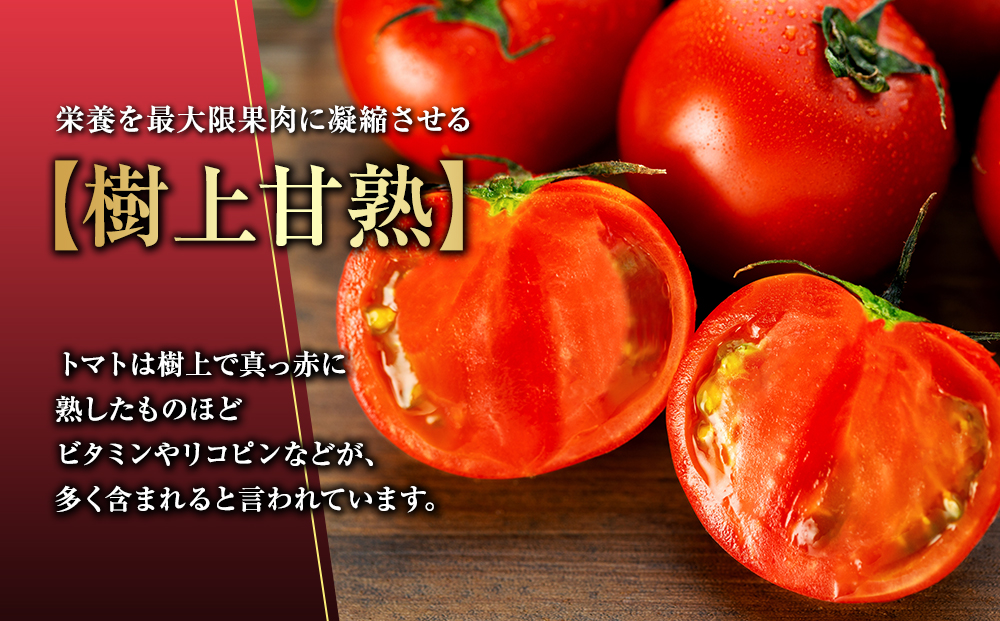 トマト 長野 オールージュトマト 1kg 野菜 夏野菜 夏 旬 旬野菜 甘い 国産 ビタミン ミネラル 抗酸化 リコピン 美容 健康 フルーツトマト フルーツ 長野県産 長野県 箕輪町