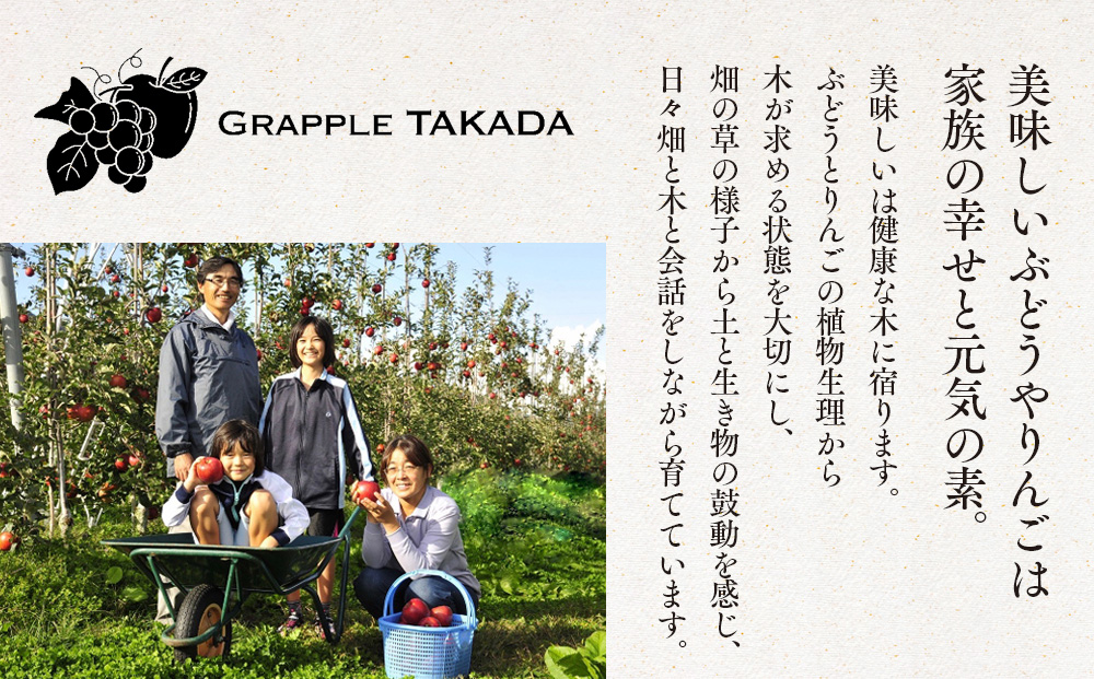 信州りんご シナノスイート 3kg ※クレジット決済限定 りんご リンゴ 林檎 長野 フルーツ 果物 信州産 長野県産 特産 産地直送 おすすめ