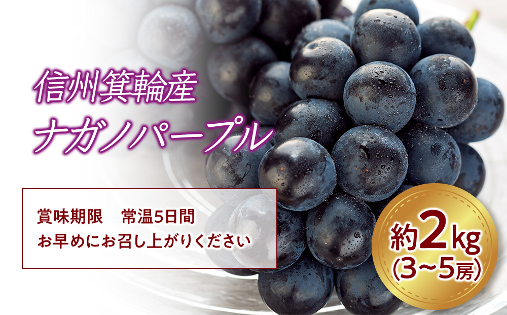 ぶどう ナガノパープル 2kg 3～5房 葡萄 ブドウ 長野パープル 果物 くだもの フルーツ 旬の果物 旬のフルーツ 信州 長野 長野県  ※着日指定不可 ※オンライン決済限定: 箕輪町ANAのふるさと納税