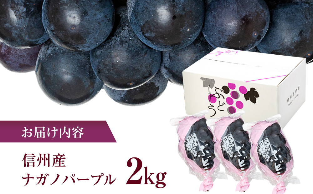 ぶどう ナガノパープル 2kg 葡萄 ブドウ 長野パープル 果物 くだもの フルーツ 旬の果物 旬のフルーツ 信州 長野 長野県