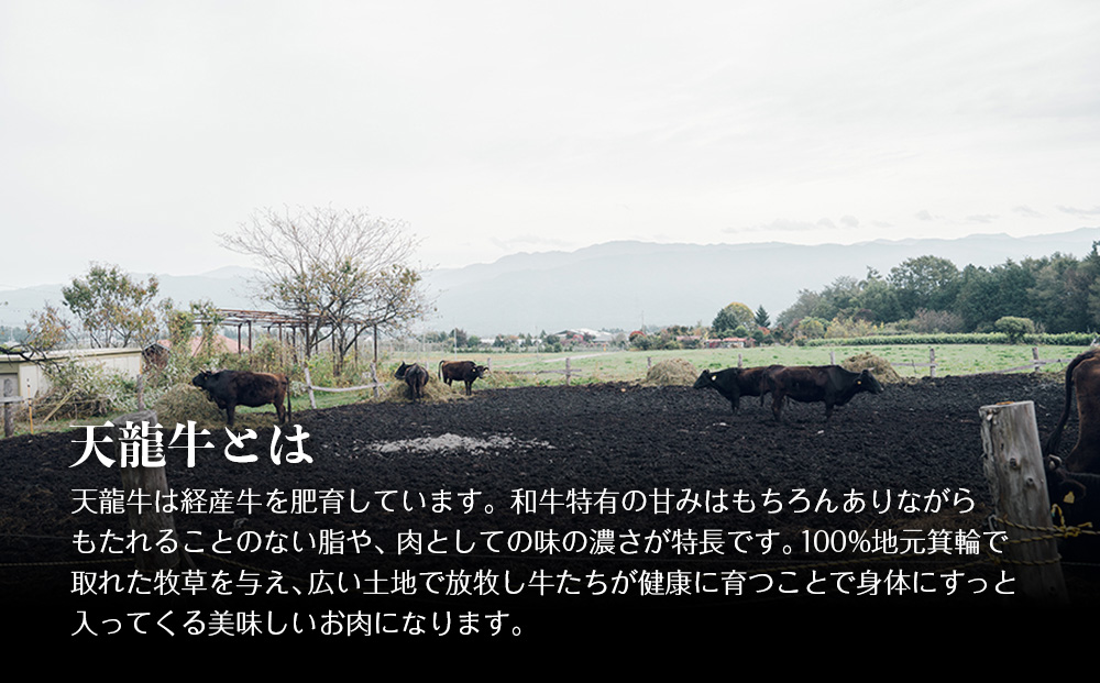 ソーセージ 天龍牛 フランク 約640g 黒毛和牛 フランクフルト 小分け フランクフルトソーセージ 希少 ブランド牛 牛肉 お肉 牛 肉 加工品 経産牛 おつまみ つまみ 惣菜 おかず お弁当 弁当 朝食 BBQ バーベキュー パーティー 冷凍 長野 箕輪町