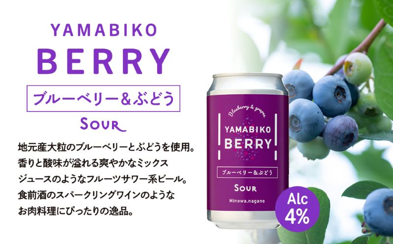 クラフトビール YAMABIKO BEER 3種 計6本 飲み比べ セット 赤そば ブルーベリー ストロベリー 詰め合わせ 地ビール フルーツ ビール フルーツビール お酒 酒 アルコール 発泡酒 珍しい フルーティー ギフト プレゼント 贈答 冷蔵 長野 長野県