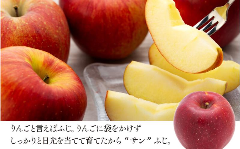 信州りんご サンフジ 約5kg