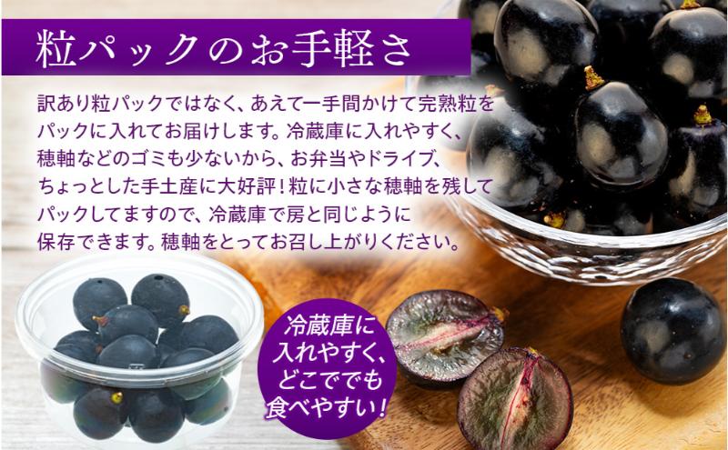 皮ごと食べられる黒葡萄 ナガノパープル 粒パック 約1kg