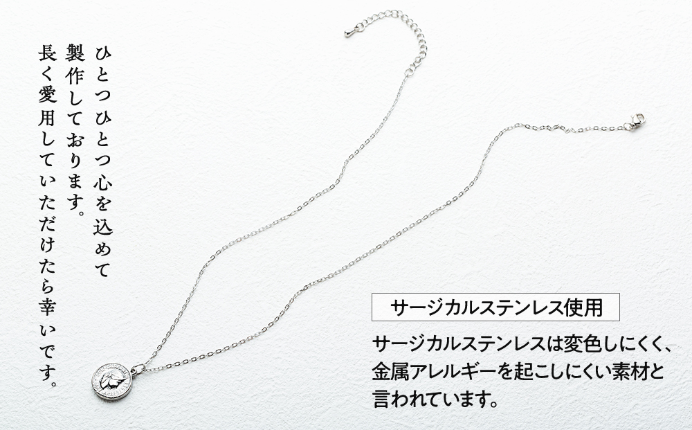 金属アレルギー対応コインネックレス　シルバー