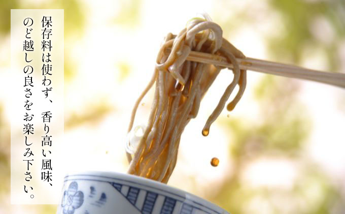 そば 生そば 4パック 100g 3袋 JA上伊那 伊那華の生そば めんつゆ付 蕎麦 半生そば 信州上伊那産そば粉 信濃一号 信濃夏そば 保存料不使用 香り高い風味 のど越しの良さ こだわりのつゆ 風味豊か 信州そば 和食 日本食 麺 麺類 食品