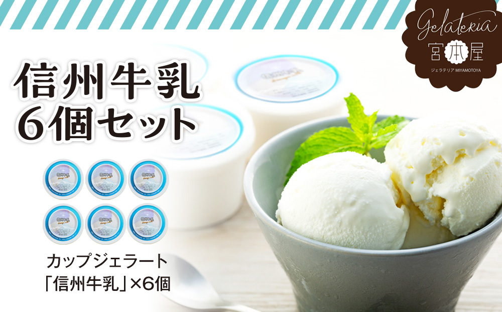 ジェラート 信州牛乳 6個 セット 詰め合わせ 当店人気No.１ジェラート ミルク アイス アイスクリーム シャーベット 美味しい デザート 人気 砂糖控えめ 甘さスッキリ ヘルシー
