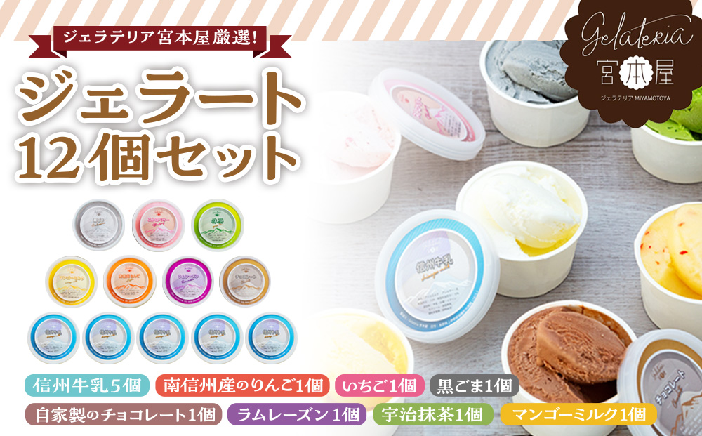 ジェラート 12個 セット 詰め合わせ ジェラテリア宮本屋厳選 アイス シャーベット ジェラテリア宮本屋 砂糖控えめ ヘルシー 信州牛乳 りんご いちご 黒ごま チョコレート ラムレーズン 抹茶 宇治 マンゴーミルク アルフォンソマンゴー