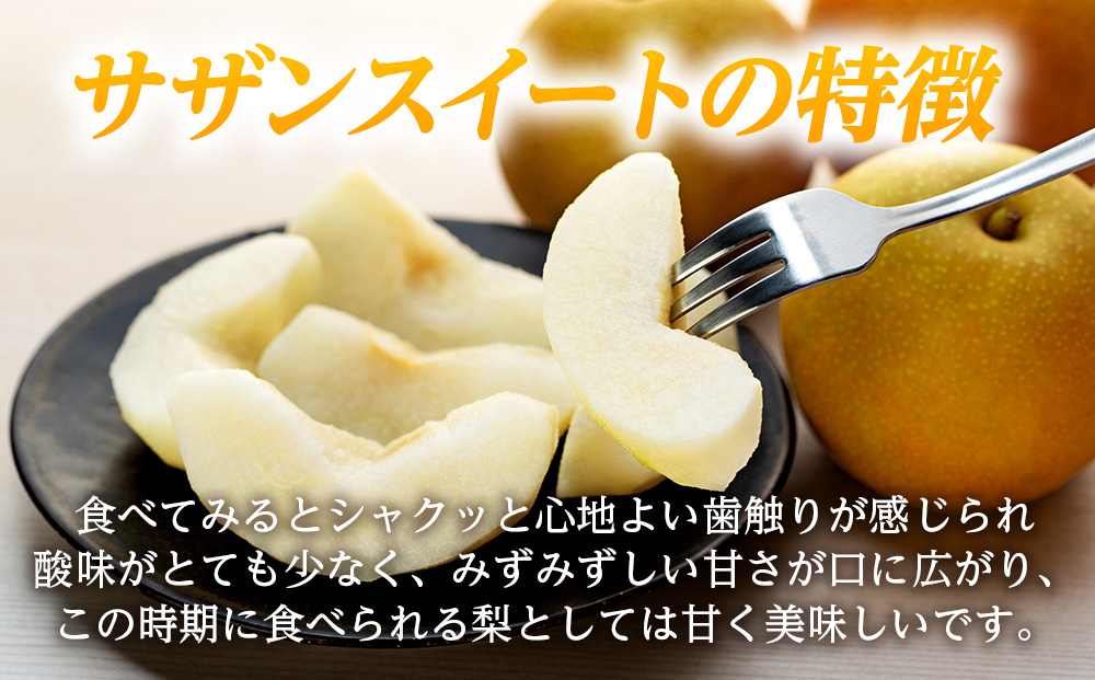 梨 長野 サザンスイート 約 5kg （16～18玉） 贈答用 オリジナル品種 フルーツ 果物 デザート おやつ なし ナシ ギフト 贈答 産地直送 長野県 長野県産 信州産 長野県箕輪町