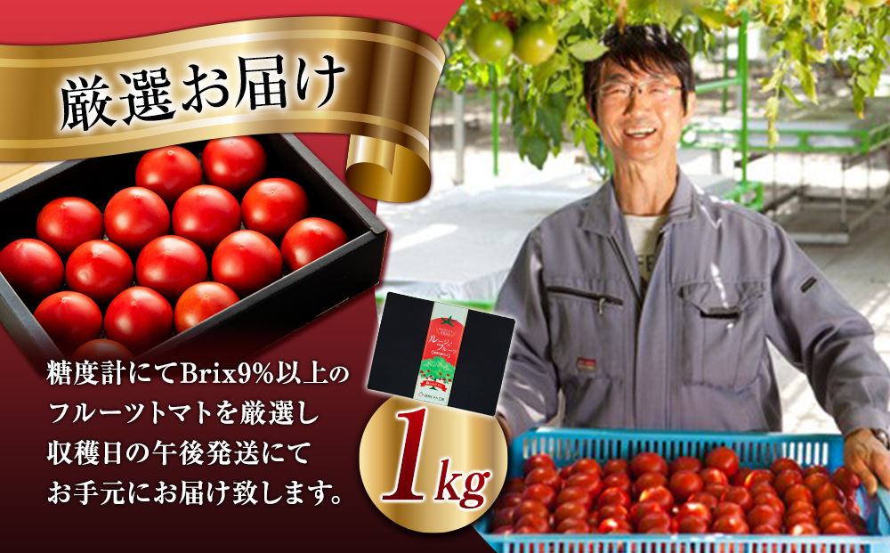 トマト 定期便 3ヶ月 ルージュフルーツトマト 1kg 樹上甘熟 フルーツトマト とまと 野菜 リコピン ビタミン 栄養 3回 お楽しみ 信州 長野 長野県