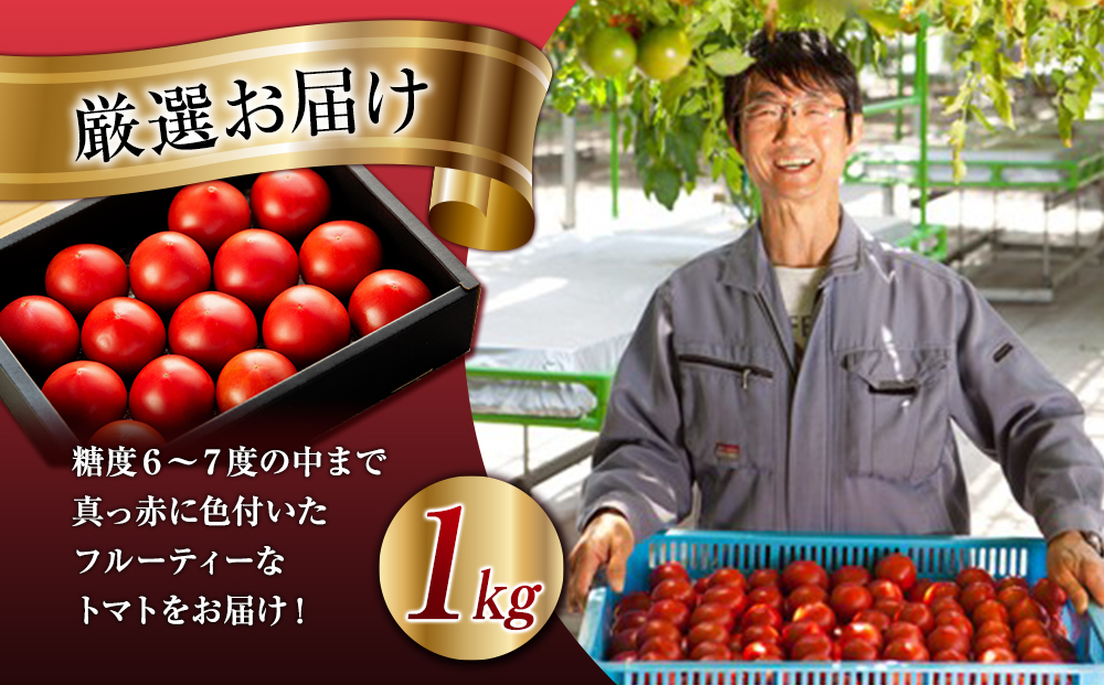 トマト 長野 オールージュトマト 1kg 野菜 夏野菜 夏 旬 旬野菜 甘い 国産 ビタミン ミネラル 抗酸化 リコピン 美容 健康 フルーツトマト フルーツ 長野県産 長野県 箕輪町