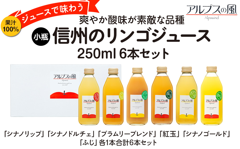 果汁100％ジュースで味わう 爽やか酸味が素敵な品種 リンゴジュース 小瓶 6本 セット 詰め合わせ ジュースで味わう信州のリンゴ 酸味爽やか りんご 林檎 アップル アップルジュース 無添加 飲料 飲料類 甘い 濃厚 長野 長野県
