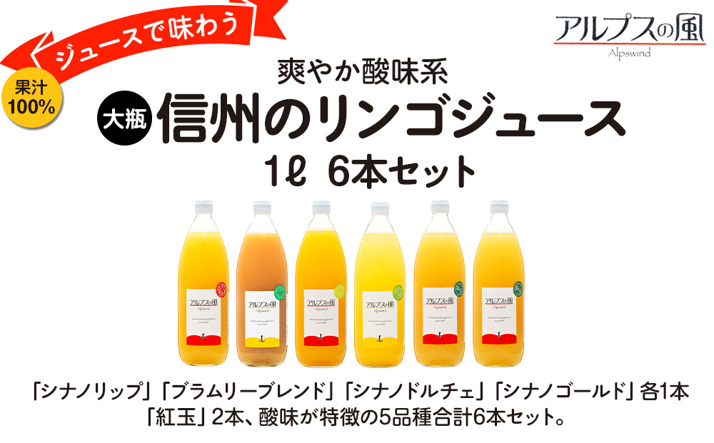 果汁100％ジュースで味わう 信州のリンゴ 爽やか酸味系 大瓶 6本 セット 詰め合わせ りんご 林檎 アップル アップルジュース ミックスジュース 無添加 飲料 飲料類 甘い 濃厚 長野 長野県