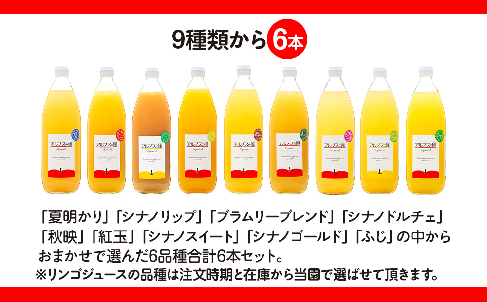 果汁100％ジュースで味わう 信州のリンゴ おまかせ 大瓶 6本 セット 詰め合わせ りんごジュース 林檎ジュース 信州りんご 信州りんごジュース りんご100 100％ジュース 果汁飲料 飲料 飲み物 長野 長野県 箕輪町