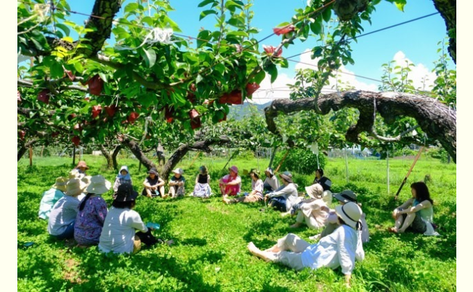 信州産 梨 安心安全の南水 約 3kg (8玉前後) フルーツ 果物 長野 長野県産 信州産 デザート おすすめ 特産 産地直送