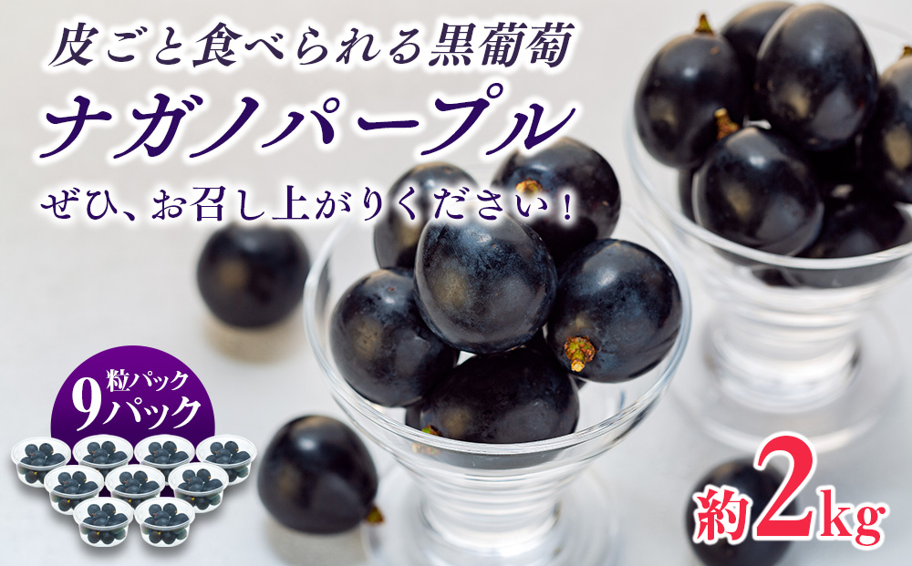 ぶどう ナガノパープル 粒パック 約2kg 皮ごと食べられる黒葡萄  葡萄 ぶどう ブドウ 長野 フルーツ 果物 信州産 長野県産 特産 産地直送 おすすめ デザート