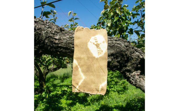 腹巻 コットンシルク 腹巻き 梨の葉染め レディース メンズ 妊婦 夏用 冬用 オールシーズン コットン シルク ネックウォーマー インナー 下着 ファッション 小物 雑貨 日用品 染物 絞り 一点もの はらまき 長野 長野県 箕輪町