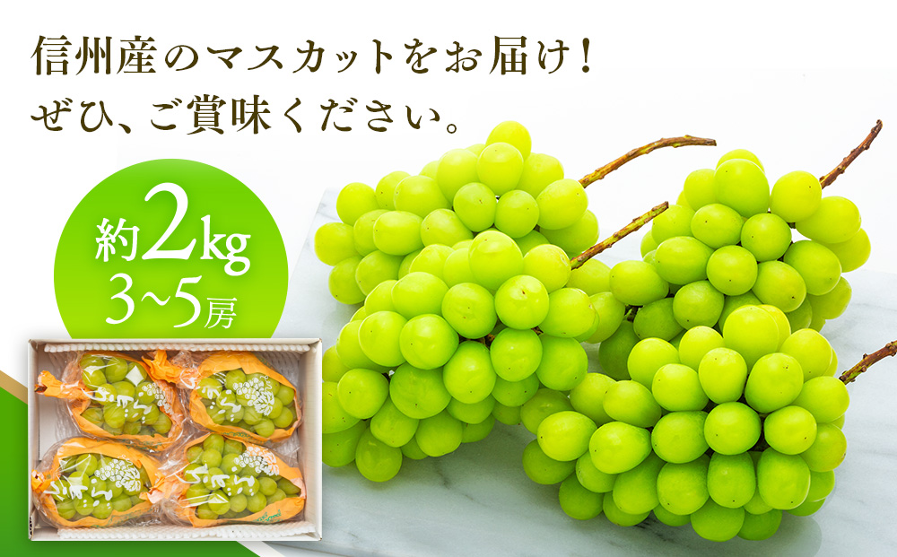 シャインマスカット 2kg 3～5房 ぶどう 葡萄 ブドウ マスカット 果物 くだもの フルーツ 旬の果物 旬のフルーツ 信州 長野 長野県